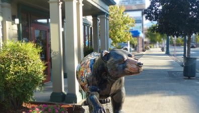 bear